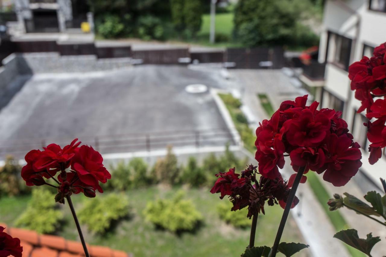 Pensiunea Carmen'S Mansion B Sinaia Dış mekan fotoğraf