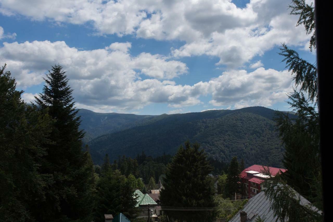 Pensiunea Carmen'S Mansion B Sinaia Dış mekan fotoğraf