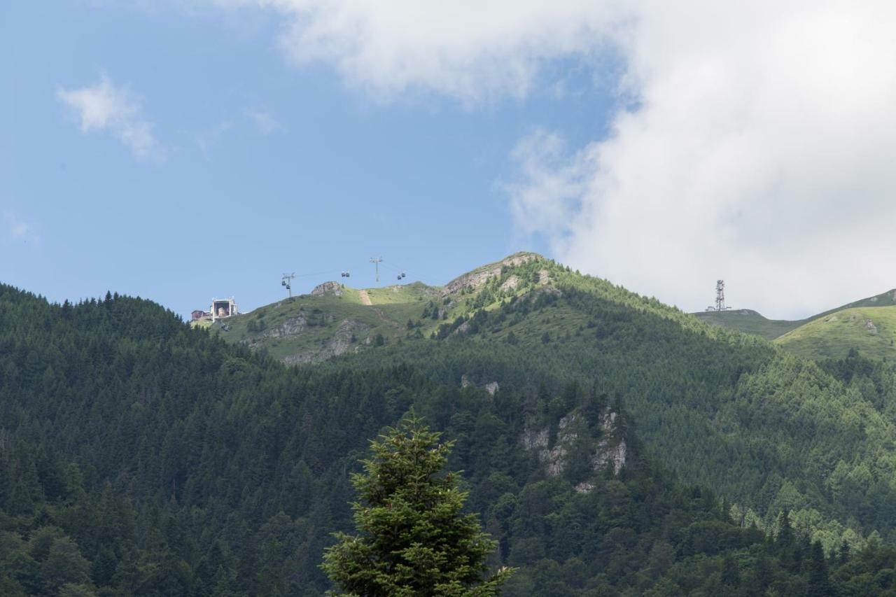 Pensiunea Carmen'S Mansion B Sinaia Dış mekan fotoğraf